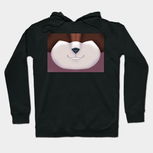 Raccoon Mask Chocolate Hoodie